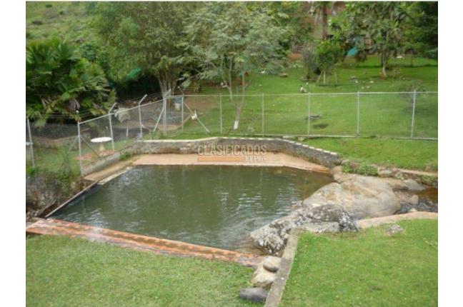 Fincas y Casas Campestres, Venta, Dagua - $700.000.000