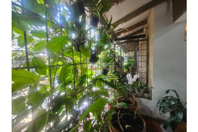 Casas, Venta, Santa Teresita - $1.500.000.000