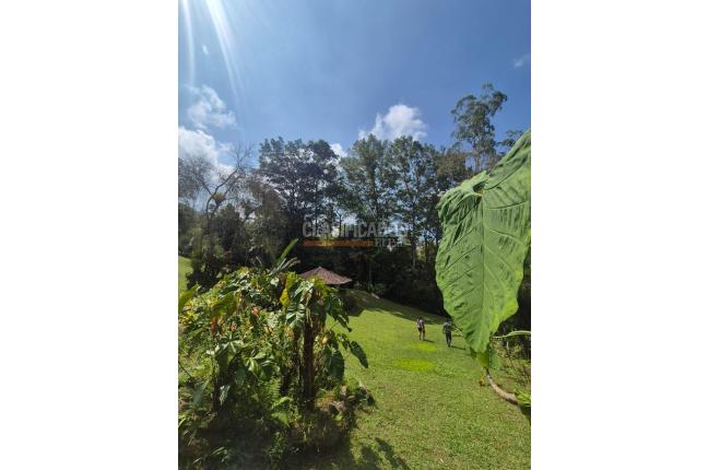 Fincas y Casas Campestres, Venta, Dagua - $720.000.000