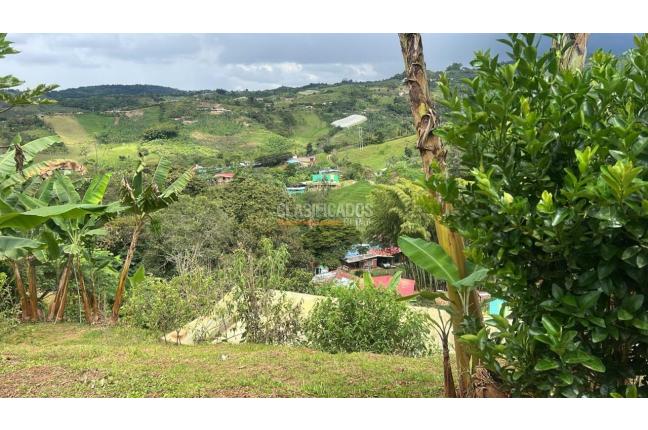 Fincas y Casas Campestres, Venta, Dagua - $450.000.000