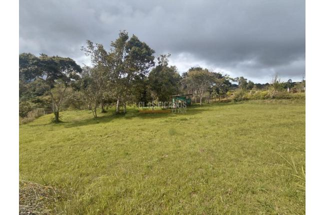 Lotes, Venta, Dagua - $280.000.000