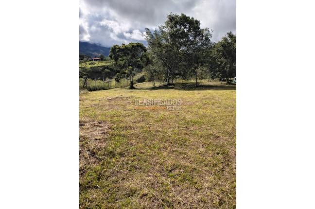 Lotes, Venta, Dagua - $280.000.000