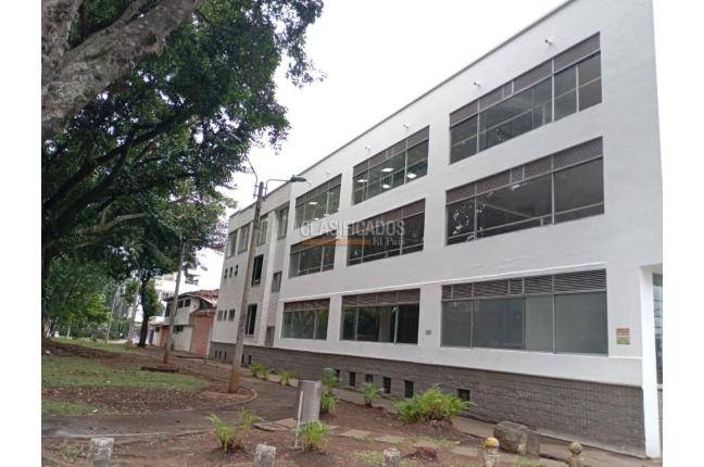 Edificios, Alquiler en El Limonar