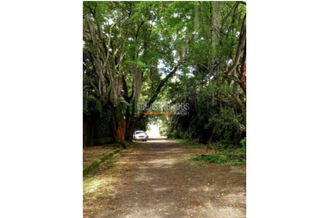 Lotes, Venta, Pance - $1.600.000.000