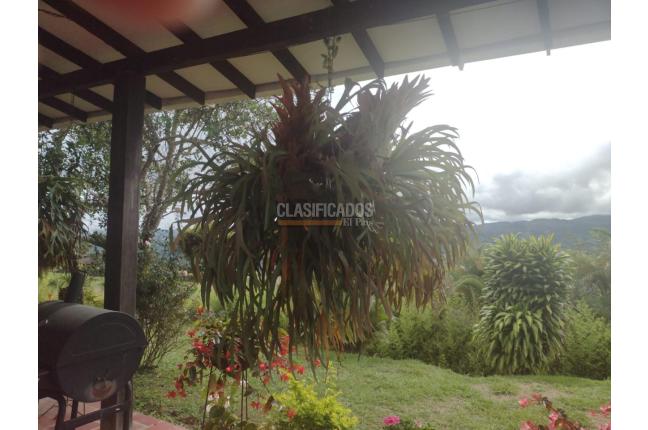 Fincas y Casas Campestres, Venta, Dagua - $510.000.000