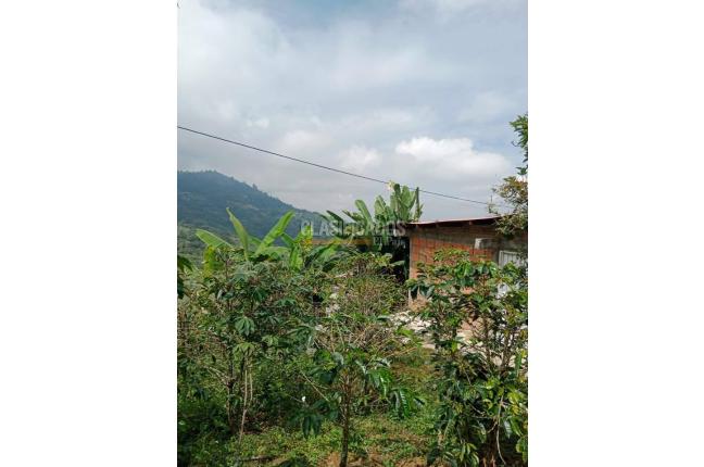 Fincas y Casas Campestres, Venta en Ginebra