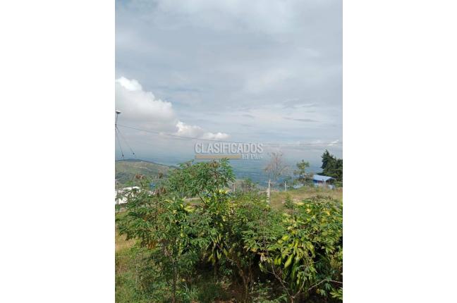 Fincas y Casas Campestres, Venta, Ginebra - $160.000.000