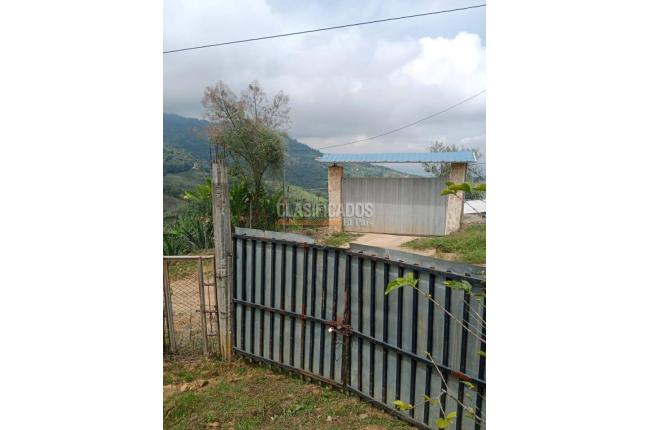 Fincas y Casas Campestres, Venta, Ginebra - $160.000.000