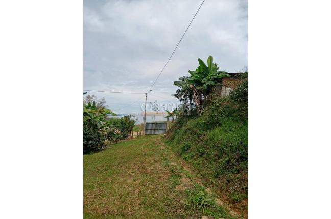 Fincas y Casas Campestres, Venta, Ginebra - $160.000.000