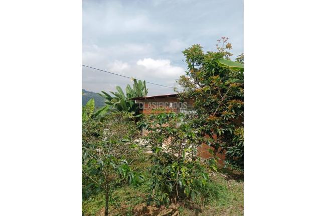 Fincas y Casas Campestres, Venta, Ginebra - $160.000.000