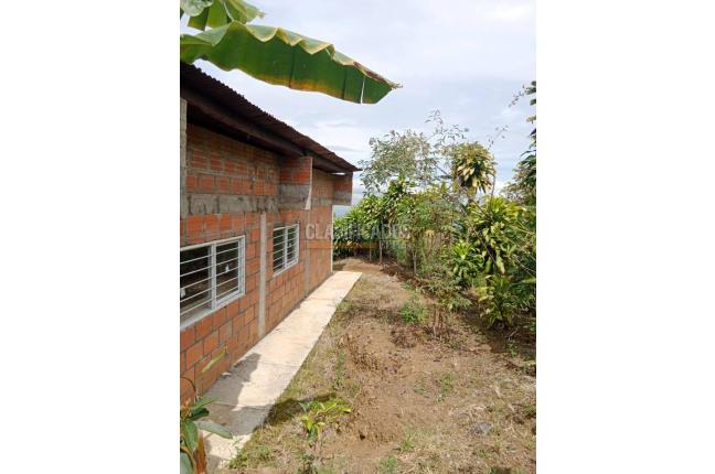 Fincas y Casas Campestres, Venta, Ginebra - $160.000.000