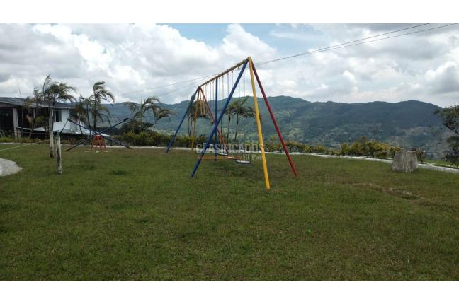 Casas, Alquiler, La Elvira