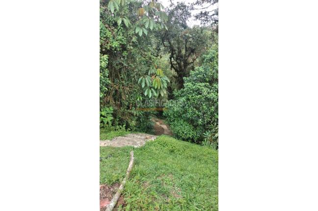 Casas, Alquiler, La Elvira