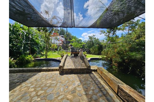 Fincas y Casas Campestres, Venta, Calima (Darién) - $1.060.000.000