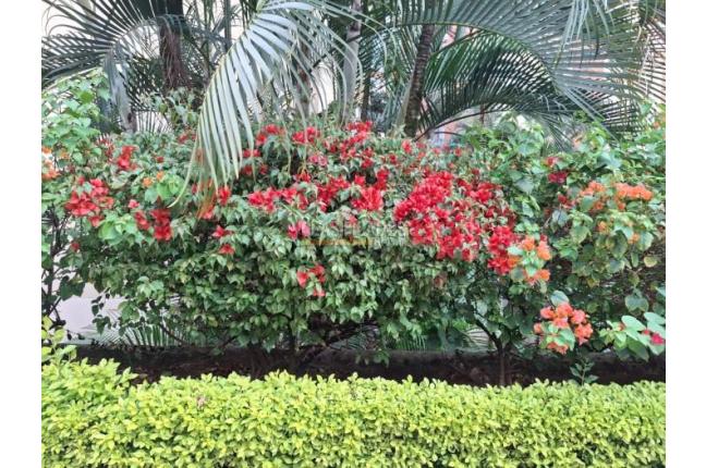 Apartamentos, Venta, Santa Anita - $460.000.000