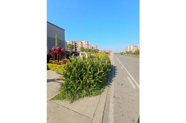 Apartamentos, Venta, Jamundí - $245.000.000