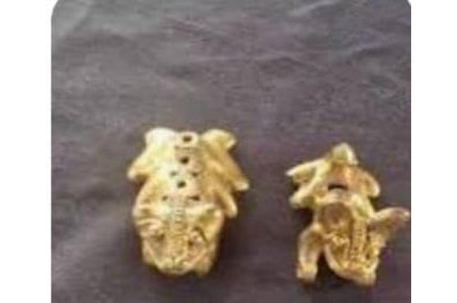 DON SAUL EL GUAQUERO - Nueva Era