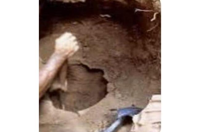 DON SAUL EL GUAQUERO - Nueva Era