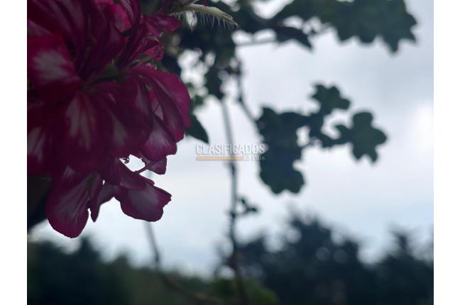 Casas, Venta en Dapa