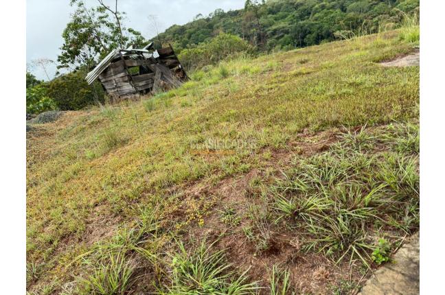 Lotes, Venta en Pance