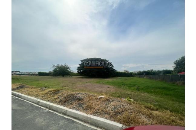 Lotes, Venta, Palmira - $335.000.000