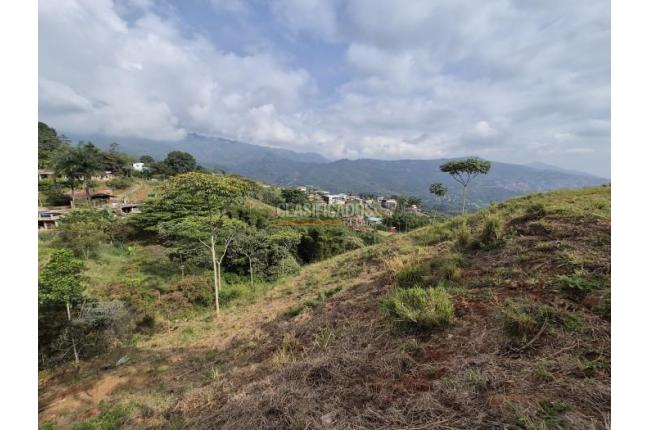 Lotes, Venta en La Reforma