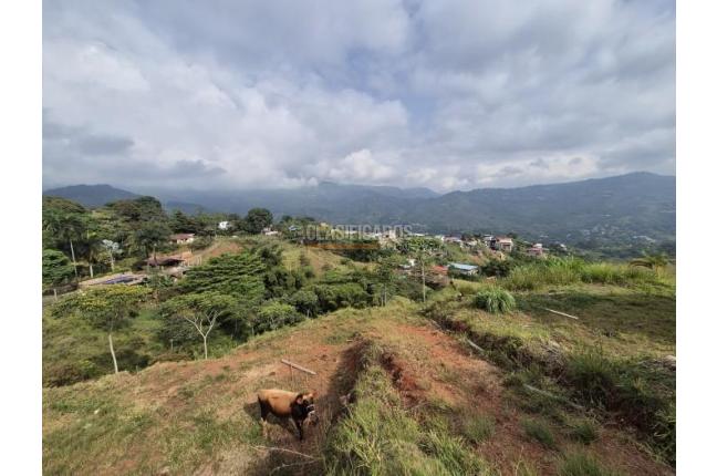 Lotes, Venta, La Reforma - $320.000.000