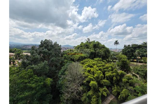 Apartamentos, Alquiler, Pereira - $2.700.000