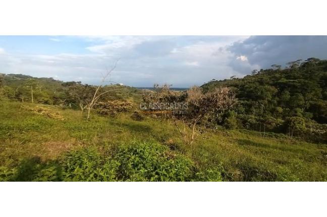 Lotes, Venta en Pance