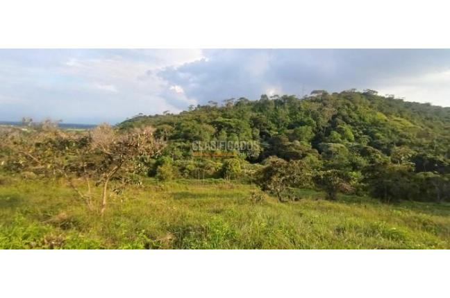 Lotes, Venta, Pance - $1.150.000.000