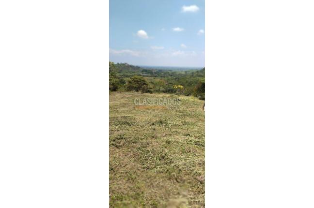 Lotes, Venta, Pance - $1.150.000.000