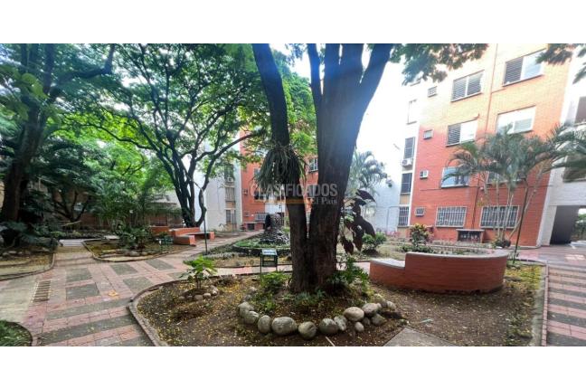 Apartamentos, Venta, Pacará Santa Sofía - $255.000.000