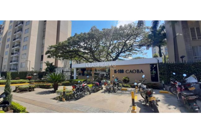 Apartamentos, Alquiler en Ciudad Bochalema