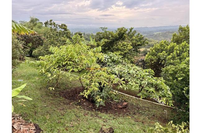 Casas, Venta, Jamundí - $1.850.000.000