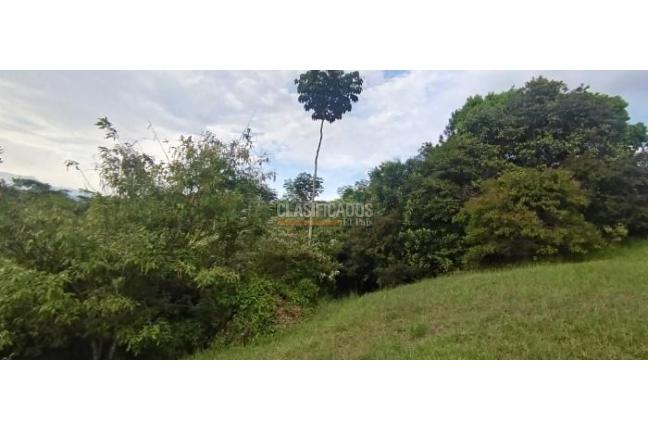 Lotes, Venta, Pance - $700.000.000