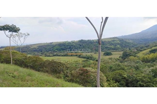 Lotes, Venta, Pance - $700.000.000