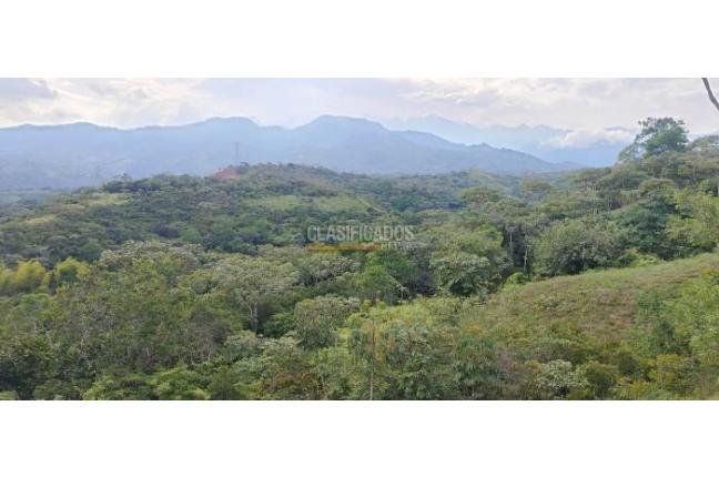 Lotes, Venta, Pance - $700.000.000