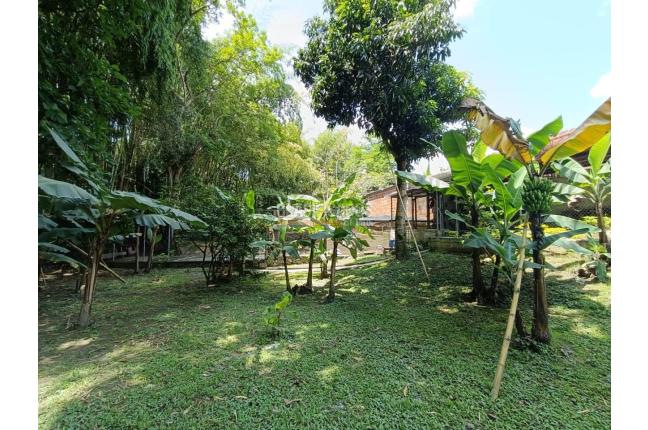 Fincas y Casas Campestres, Venta, Ginebra - $1.282.000.000
