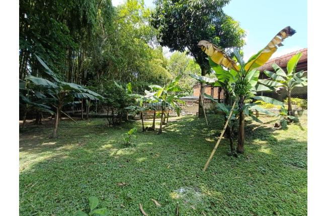 Fincas y Casas Campestres, Venta, Ginebra - $1.282.000.000