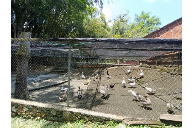 Fincas y Casas Campestres, Venta, Ginebra - $1.282.000.000