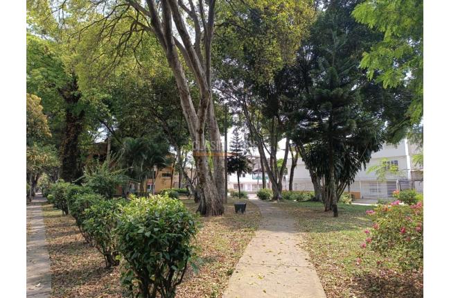 Apartaestudios, Alquiler, Vipasa