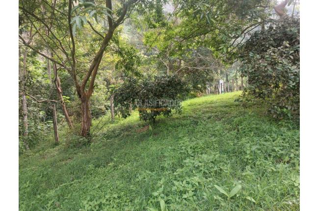 Fincas y Casas Campestres, Venta, Pradera - $175.000.000