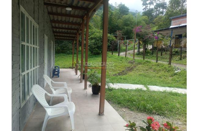 Fincas y Casas Campestres, Venta, Pradera - $175.000.000
