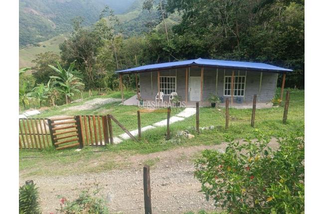 Fincas y Casas Campestres, Venta, Pradera - $175.000.000