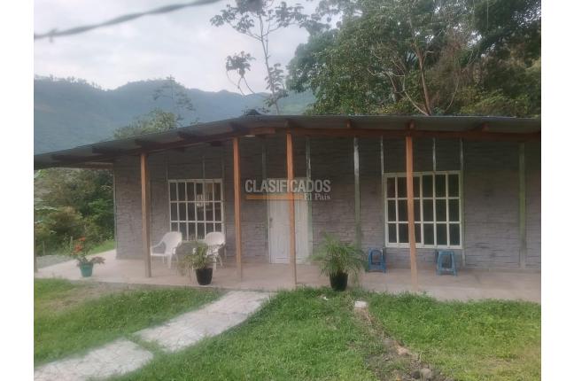 Fincas y Casas Campestres, Venta, Pradera - $175.000.000