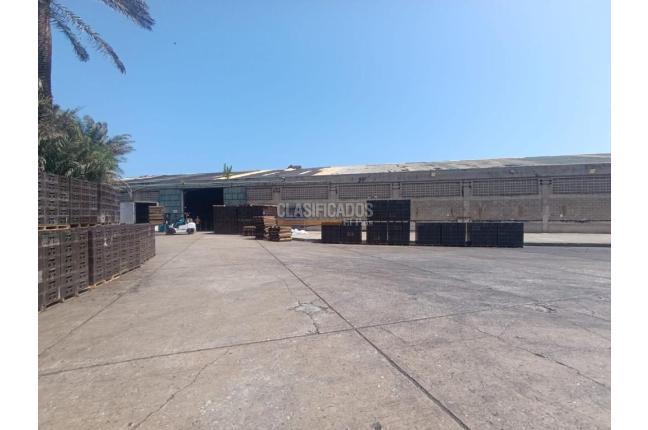 Locales y Bodegas, Alquiler en Barranquilla