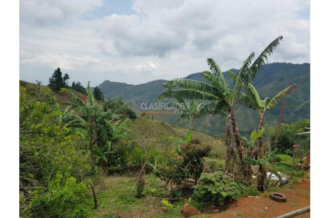 Fincas y Casas Campestres, Venta, Yumbo - $260.000.000