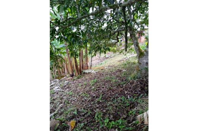 Fincas y Casas Campestres, Venta, Yumbo - $260.000.000