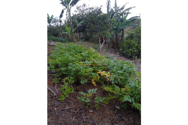 Fincas y Casas Campestres, Venta, Yumbo - $260.000.000