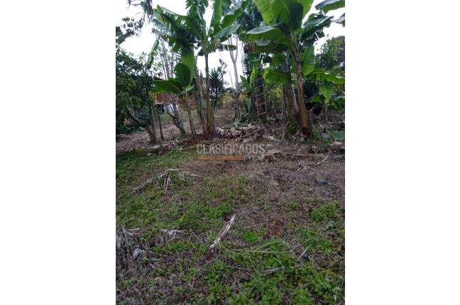 Fincas y Casas Campestres, Venta, Yumbo - $260.000.000